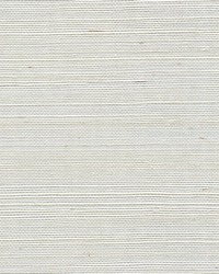 Sisal WSS4581 WT Vanilla by   