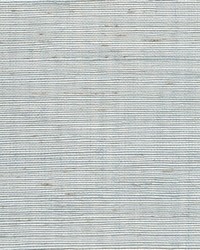 Metallic Sisal WSS4584 WT Sky by   