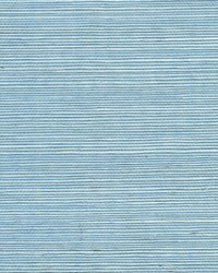 Sisal WSS4586 WT Cerulean by   