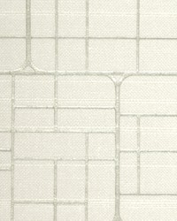 BRUNELLI WTE6015 ICY WHITE by   