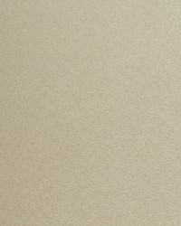 DOVERA WTE6034 LATTE by   