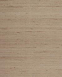 ETTORE SILK WTE6039 RIVER ROCK by  Winfield Thybony Design 