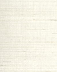 ETTORE SILK WTE6040 RAFFIA by  Winfield Thybony Design 
