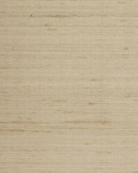 ETTORE SILK WTE6045 MUSHROOM by  Winfield Thybony Design 