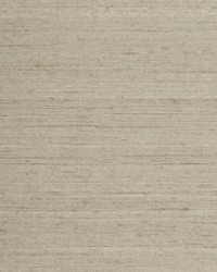 ROSSI SILK WTE6082 STERLING FOREST by  Winfield Thybony Design 