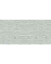 GRASSCLOTH TEXTURE WTK15302 WT EUGENE by  Futura Vinyls 