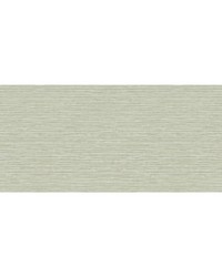 GRASSCLOTH TEXTURE WTK15304 WT SPRING by  Futura Vinyls 