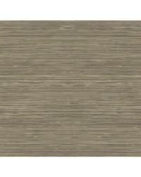 GRASSCLOTH TEXTURE WTK15326 WT ESPRESSO by  Futura Vinyls 