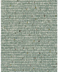 SURGE WTN1078 WT FOREST by  Ralph Lauren 