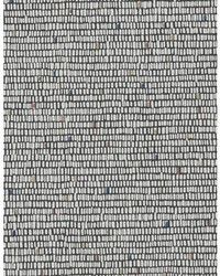 SURGE WTN1080 WT GRAPHITE by  Ralph Lauren 