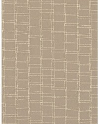 LOOPED WTN1086 WT PINK SALT by   