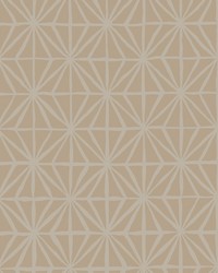 Segue WTP4048 WT Satin Brass by  Winfield Thybony Design 