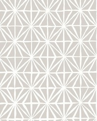 Segue WTP4050 WT Fog by  Winfield Thybony Design 