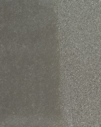 LEONIS WUE2013 WT by  Winfield Thybony Design 