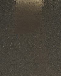 LEONIS WUE2016 WT by  Winfield Thybony Design 