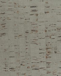 Rossio WUE2022P WT 0p by   