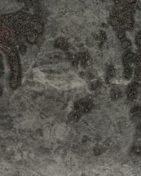 CORVOBEADS WUE2045 WT by  Winfield Thybony Design 