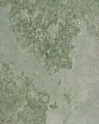 CORVOBEADS WUE2047 WT by  Winfield Thybony Design 