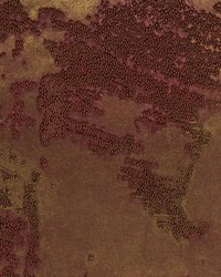 CORVOBEADS WUE2048 WT by  Winfield Thybony Design 