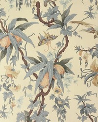 Mary Day Botanical Tea by  Ralph Lauren Wallpaper 