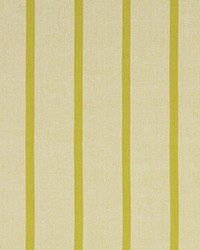 Masala Stripe Chartreuse by  Beacon Hill 