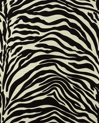 Kawa Zebra Black by   