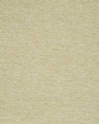 Ribbon Boucle Cashmere by  Beacon Hill 