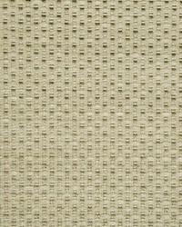 Gilded Raffia Dark Flax by  Beacon Hill 