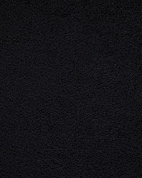 Torri Solid Black by  Beacon Hill 