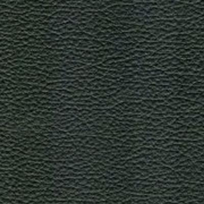 Greenhouse Fabrics 74481 EVERGREEN in L03 SIZE:  Blend Fire Rated Fabric