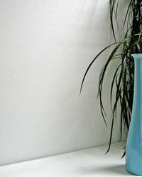 Vellum Paintable Armadillo Wallpaper by  Brewster Wallcovering 