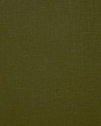 Jefferson Linen 223 Sage Green by  Magnolia Fabrics  