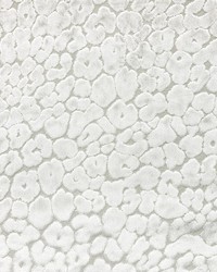 Landon Frost by  Magnolia Fabrics  