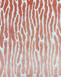 Mazen Coral by  Magnolia Fabrics  