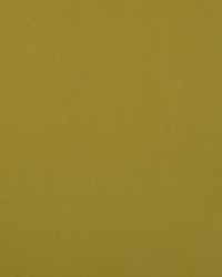 Crypton Home Burkes Quince by   