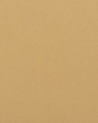 Crypton Home Burkes Oatmeal by   