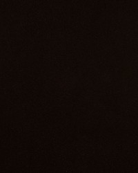 Crypton Home Burkes Mink by   