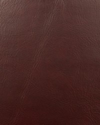 Miles Raisin by  Stroheim 