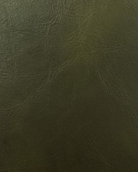 Miles Forest by  Stroheim 