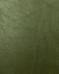 Miles Cactus by  Stroheim 