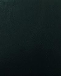 Miles Blueberry by  Stroheim 