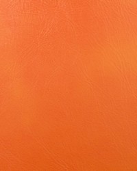 Miles Tangerine by  Stroheim 