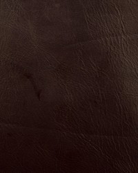 Miles Brown by  Stroheim 