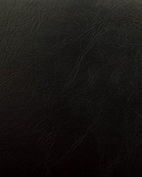 Miles Black by  Stroheim 