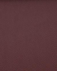 Voyager Blackberry by   