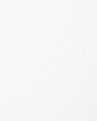 Voyager Optic White by   