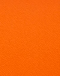 Voyager Tangerine by   