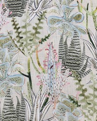 Sonora Aloe by  Magnolia Fabrics  