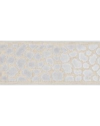 Wilder Tape Ivory by  Magnolia Fabrics  
