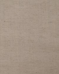 Hampton Feather by  Magnolia Fabrics  